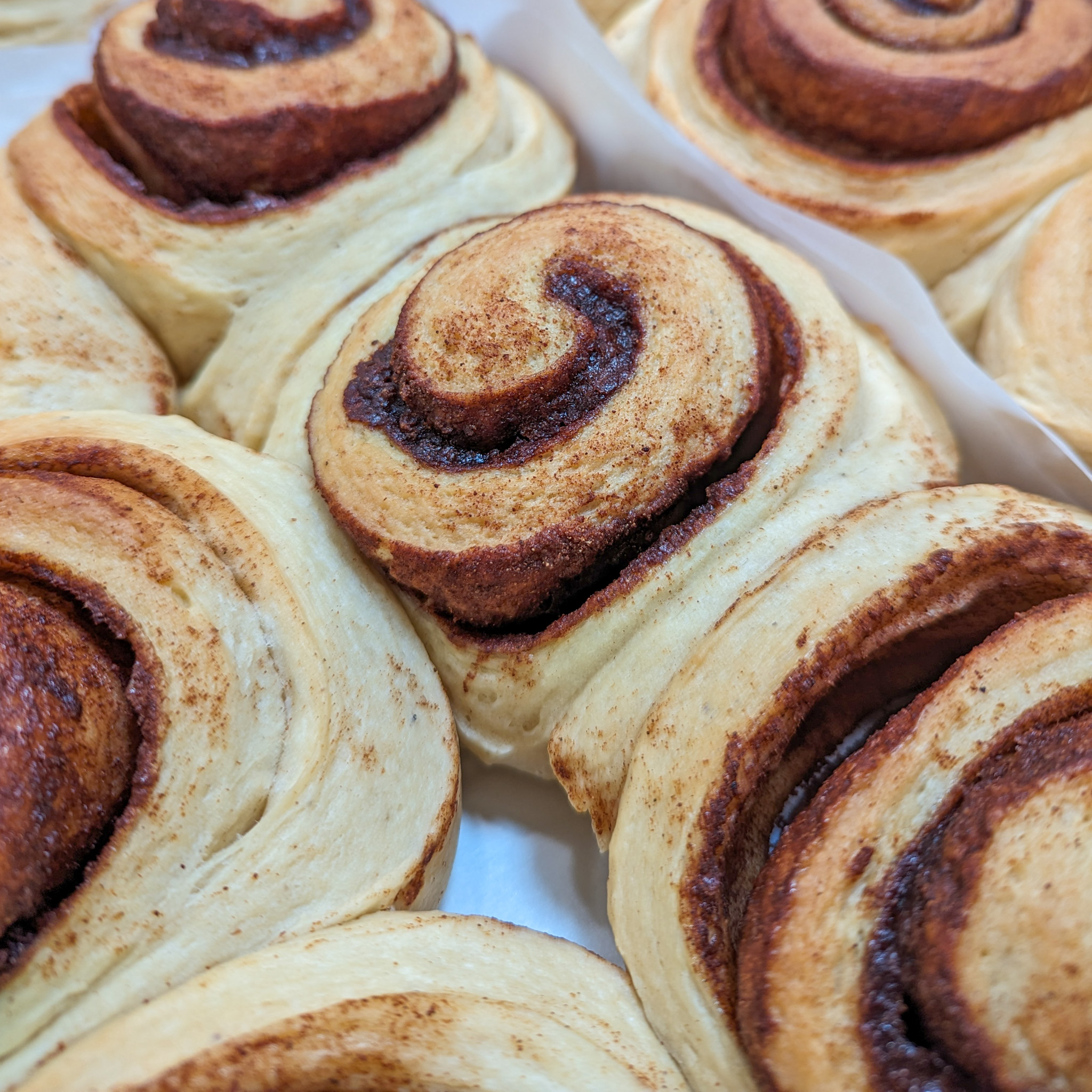 Freshly baked cinnamon rolls