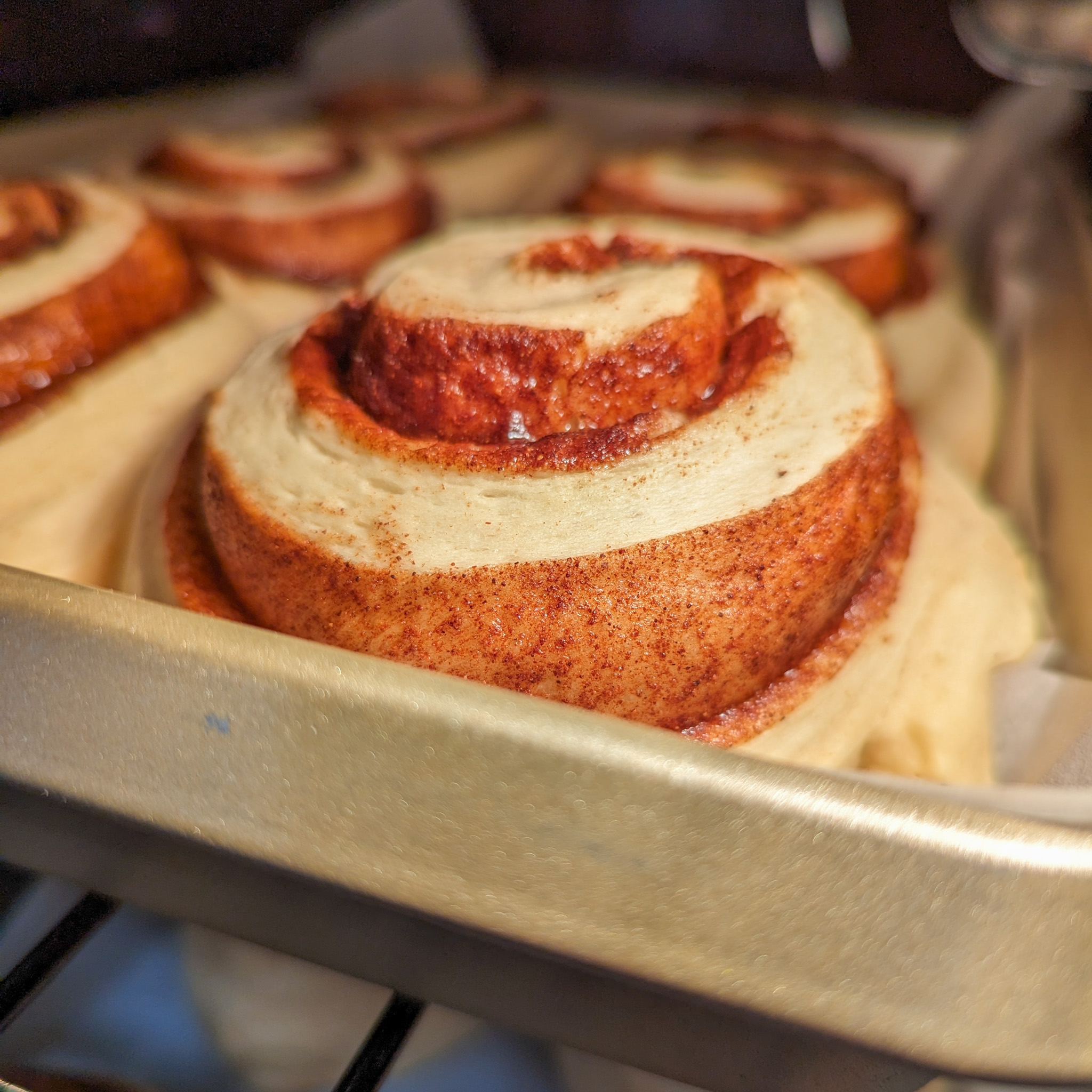 Cinnamon rolls rising in the oven