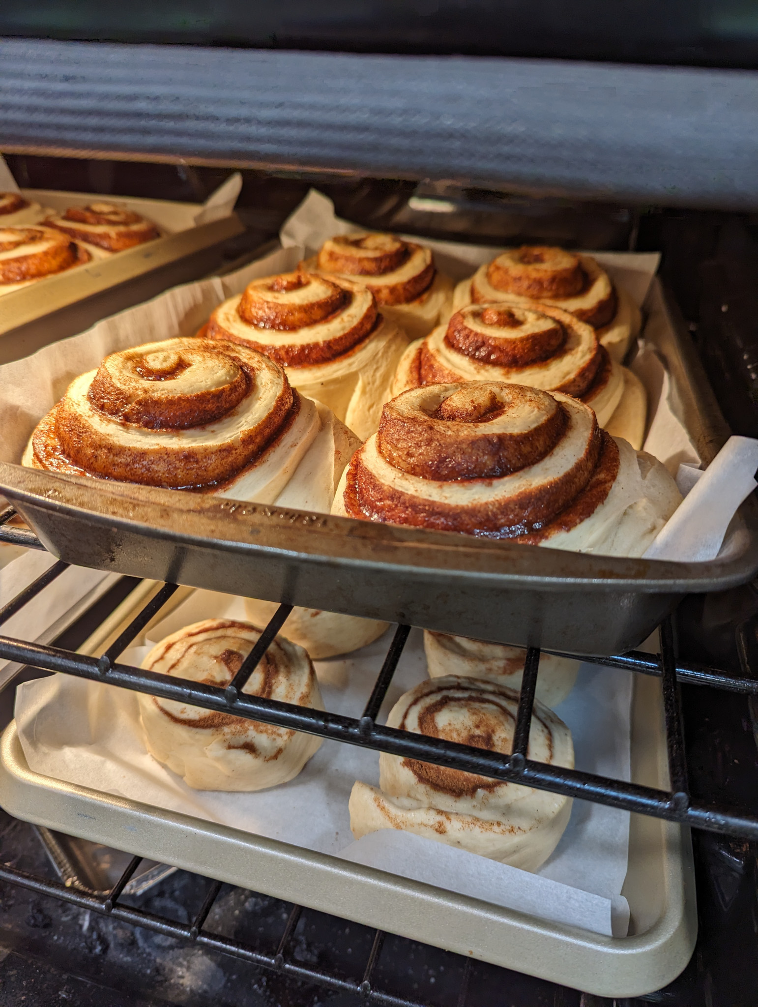 Trays of rolls in the oven
